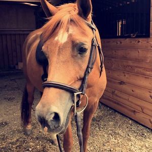 Meet your Posher, Lexi